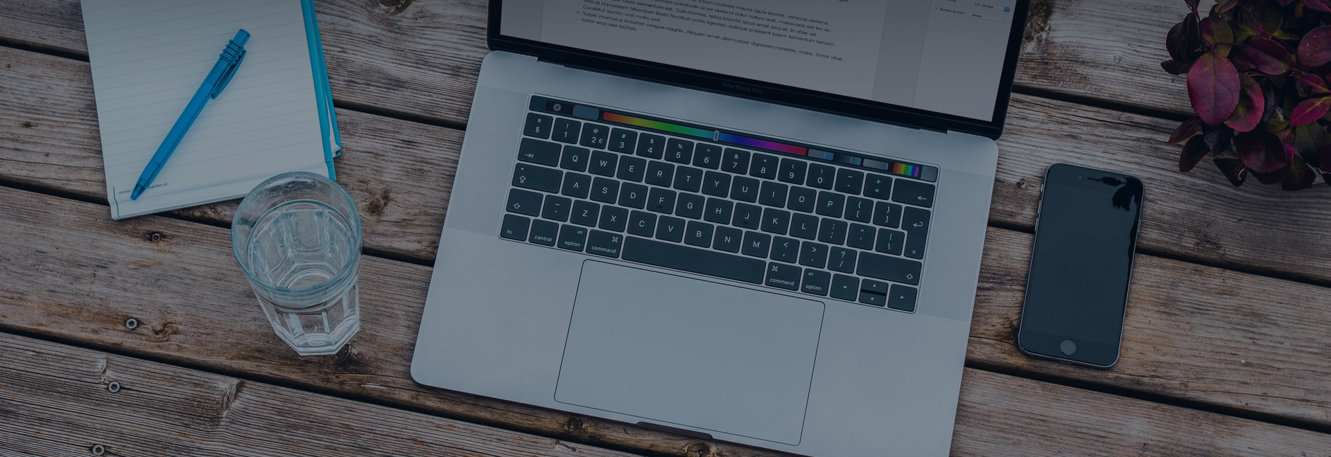 ニュース情報 ニュース情報